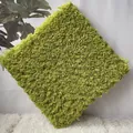 Cozy lime green square shaggy plush area rug with high pile cake velvet texture - 30x30x1cm / Green