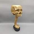 Gold skull planter with spine stand set, unique gothic home decor for small plants - 28.5cm / Gold
