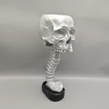 Gothic silver skull planter set featuring a unique anatomical spine stand and base - 28.5cm / Silver