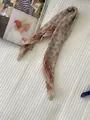 Beige vintage cotton-linen floral scarf with red geometric patterns and dots detail - 59 Polka Dot Diamond Frame