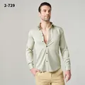 Herrenhemd in Salbeigrün, knitterfrei, Satin-Finish, langärmelig, Business-Casual - XL / Oberteile / Blassgrün