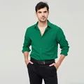 Επαγγελματικό ανδρικό casual μακρυμάνικο πουκάμισο σε ζωντανό πράσινο χρώμα του γρασιδιού - 3XL / Tops / Πράσινο του Γρασιδιού (W7-15)