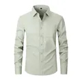 Classic professional men's long-sleeved button-down shirt in a solid light sage green - 3XL / Tops / Light Green (8868-38)