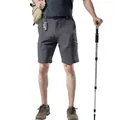High-performance men's grey quick-dry outdoor hiking shorts for camping and trekking - S / Bottom (3202) / Gray