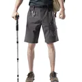 Premium dark grey men's quick-dry hiking shorts with multi-pockets for summer outdoor sports - S / Bottom (3201) / Gray