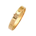 Elegant gold-plated titanium steel bangle with zircon flower motifs and spring opening - Gold Inlaid White Zirconia Flower Style (TT0360)
