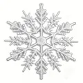 Silver 10cm glittery snowflake ornament for Christmas tree decoration - 10CM-6g (With Rope) / Silver