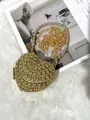 Luxurious heart-shaped gold clutch bag encrusted with sparkling rhinestones - A152 Gold