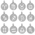 Set of 12 stainless steel zodiac sign charms with hollow circular design for DIY jewelry - Twelve Zodiac Steel Collection / Steel