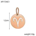 Elegant rose gold stainless steel Aries zodiac hollow round pendant charm, 1.2cm size - XP1734C1