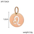 Leo zodiac sign hollow round pendant in rose gold stainless steel for DIY jewelry - XP1734C4