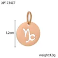 Rose gold stainless steel Capricorn zodiac hollow round charm pendant for DIY jewelry - XP1734C7