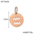 Rose gold stainless steel Aquarius zodiac hollow round tag pendant for DIY jewelry - XP1734C8