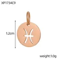 Rose gold stainless steel Pisces zodiac sign hollow circular pendant for DIY jewelry - XP1734C9