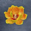 Realistische künstliche EVA-Magnolienblüte in leuchtendem Orange-Gelb für die Dekoration - B13--13cm7 Größe