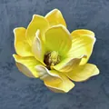 Testa di fiore di magnolia gialla in EVA 13cm per decorazione - B17--13cm12 Dimensioni