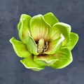 Testa di fiore di magnolia in EVA verde da 13 cm per accessori capelli e decorazioni - Dimensioni A14-18cm17
