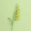 Freesia au crochet fait main jaune pour une décoration florale DIY élégante et raffinée - Freesia Mignon (6 Fleurs) - Vert