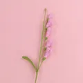 Fleur de freesia rose faite à la main au crochet pour décorations florales élégantes - Freesia Mignon (6 Fleurs) - Rose