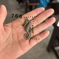 Vintage brass seahorse pendant with weight 7.6g and height 4.4cm shown in hand - Seahorse