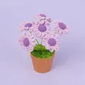 Prachtige handgemaakte gehaakte paarse lavendelbloem in een kleine oranje bloempot - Vijf Tot Zes Kleine Paarse Madeliefjes In Een Pot (palmenpot).