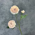 Rosa ranuncolo artificiale a 3 teste albicocca per decorazioni casa e matrimoni - Caffè chiaro con cuore viola