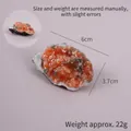 Realistic PVC oyster food model pendant for bags and keys, weight approximately 22g. - Spicy Garlic Oysters - Model