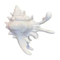 Beautiful and cute ocean themed white conch shell hair claw clip accessory for women - White Shell