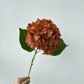 Realistic burnt orange artificial hydrangea stem with a 3D moisture-touch texture - Dark Coffee