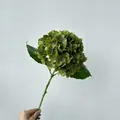 Realistic green artificial hydrangea flower with a high-quality 3D moisturizing texture - Dark Green
