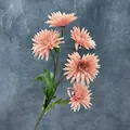 Single branch artificial five-head chrysanthemum flower in salmon pink for wedding decor - Pink Champagne