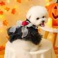 White dog wearing a black velvet pet dress with a red rose and gold star lace bow - Black Velvet Rose Dress