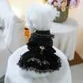 Elegantes schwarzes Samt-Hundekleid mit Punkten, Spitze und einer großen Schleife - Schwarzes Und Goldenes Abendkleid / XS (Gewicht 1.5kg)