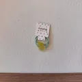 Vue détaillée d'élastiques à cheveux verts en forme de cœur sur emballage cartonné. - Élastique Cœur Vert Jaune