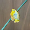 Yellow fish shaped hair claw clip with iridescent blue stripes and rhinestone detail - Yellow Small Fish