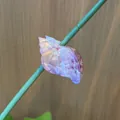 Purple iridescent seashell hair claw clip for women stylish side bang accessory - Purple Conch