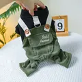 Salopette pour chien et chat en velours côtelé vert avec broderie best friend - Salopette Meilleur Ami