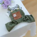 Salopette en velours côtelé vert pour animaux avec chemise à rayures noires et blanches chic - Salopette à Poche Café Vert