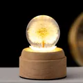 Warm leuchtendes 3D Pusteblume Kristallkugel Nachtlicht auf einem Holzsockel - 6cm Löwenzahnkugel + Rotierender Stecker (Batterie Nicht Enthalten) / USB-Stecker