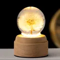 Leuchtende 3D Löwenzahn Kristallkugel Nachtlampe mit einem eleganten Massivholzsockel - 7cm Löwenzahnkugel + Rotierender Stecker (Batterie Nicht Enthalten) / USB-Stecker