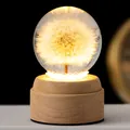 Leuchtende Löwenzahn Kristallkugel Nachtlampe mit 3D Gravur auf einem warmen Holzsockel - 8cm Löwenzahnkugel + Rotierender Stecker (Batterie Nicht Enthalten) / USB-Stecker