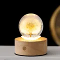 3D Löwenzahn Kristallkugel Nachtlicht mit Holzsockel für Geschenke - 6cm Löwenzahnkugel + Wiederaufladbare Rotation (Batterie Enthalten) / USB-Stecker