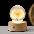 Leuchtende Löwenzahn Kristallkugel Nachtlicht mit warmem LED Holzsockel Geschenkidee - 7cm Löwenzahnkugel + Wiederaufladbare Rotation (Batterie Enthalten) / USB-Stecker