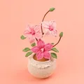 Exquisite handmade crochet flower pot featuring pink blossoms and a lace-trimmed base - Gradient Pink Clematis Potted Plant (large Yarn Pot)