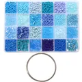 Blue seed bead jewelry making kit with 24 colors for DIY bracelet crafting - Steel Wire Bracelet Ring + 24 Slots Blue Series 120 Grams/set
