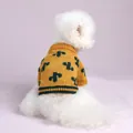 Primer plano de un perro pequeño con un suéter de punto amarillo con cactus - Suéter de Cactus Cúrcuma