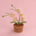 Delicate handmade crochet pink and yellow tulip flower pot decor with smiley label - Phalaenopsis (Lace Potted) / Pink