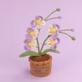 Handmade crochet orchid flower pot in purple and yellow tones, cute desktop decor. - Phalaenopsis (Lace Potted) / Purple