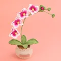 Handmade crochet pink orchid potted plant in a beige woven pot for home decoration - 4-Head Butterfly Orchid (Large Yarn Pot) / Rose Red