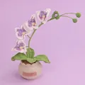 Exquisite handmade crochet orchid potted plant featuring soft pink and purple yarn flowers - 4-Head Butterfly Orchid (Large Yarn Pot) / Purple